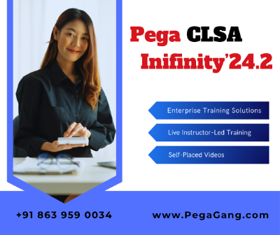 Pega Certified Lead System Architect (CLSA) Infinity'24.2 Online Training for IT Professionals – PegaGang
